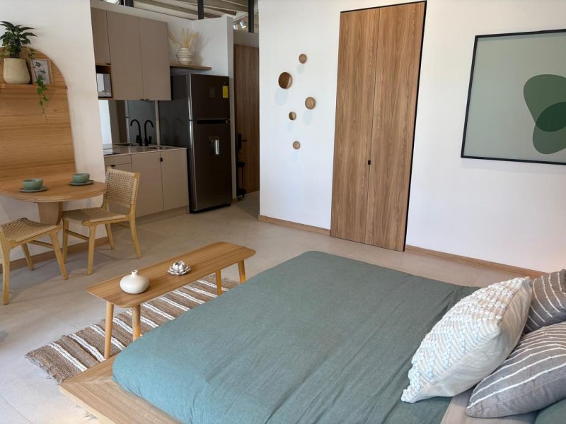 ESTUDIO | LA CAROLINA | EN PLANOS